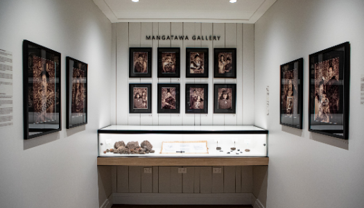 Mangatawa Gallery opens at the Beach House